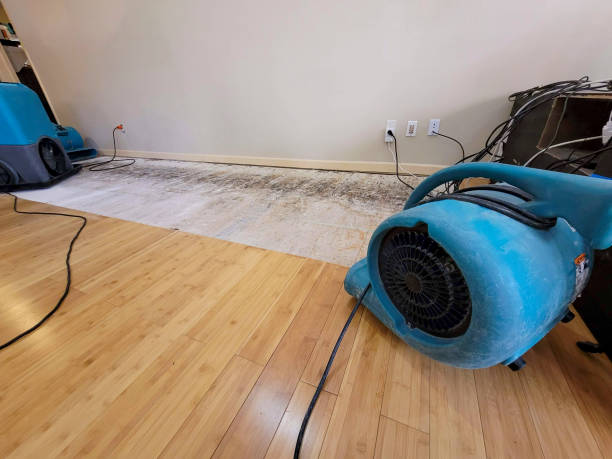 Professional Structural Drying technician working in Sturgeon Bay, WI